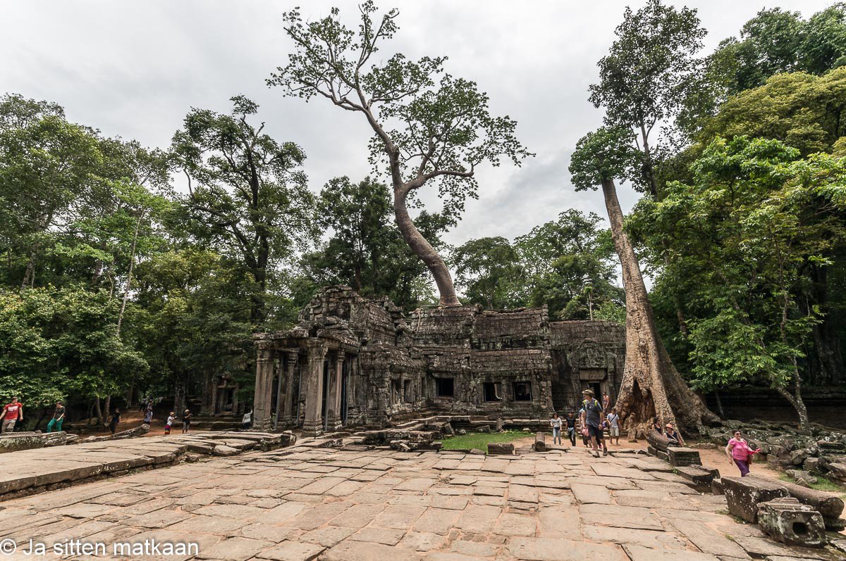 Siem Reapin nähtävyyksiä - Ta Prohm