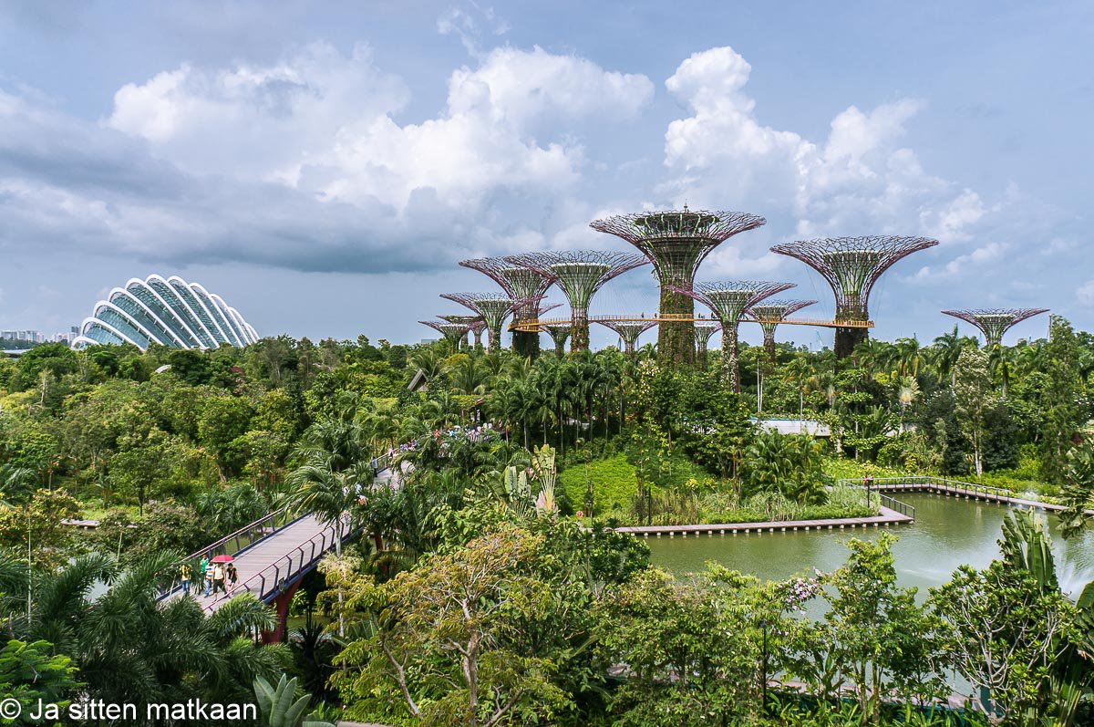 Singaporen nähtävyyksiä - Gardens by the Bay