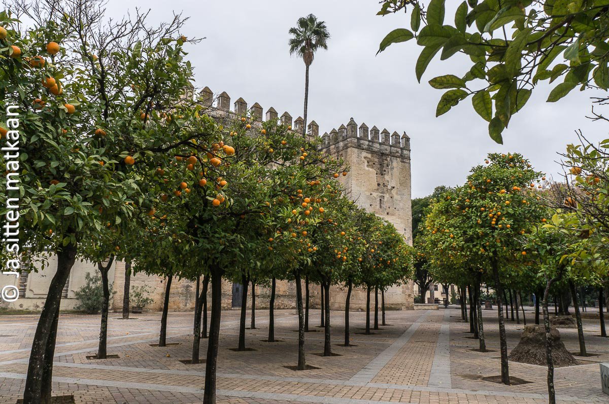 Andalusiassa: Jerezin Alcázar