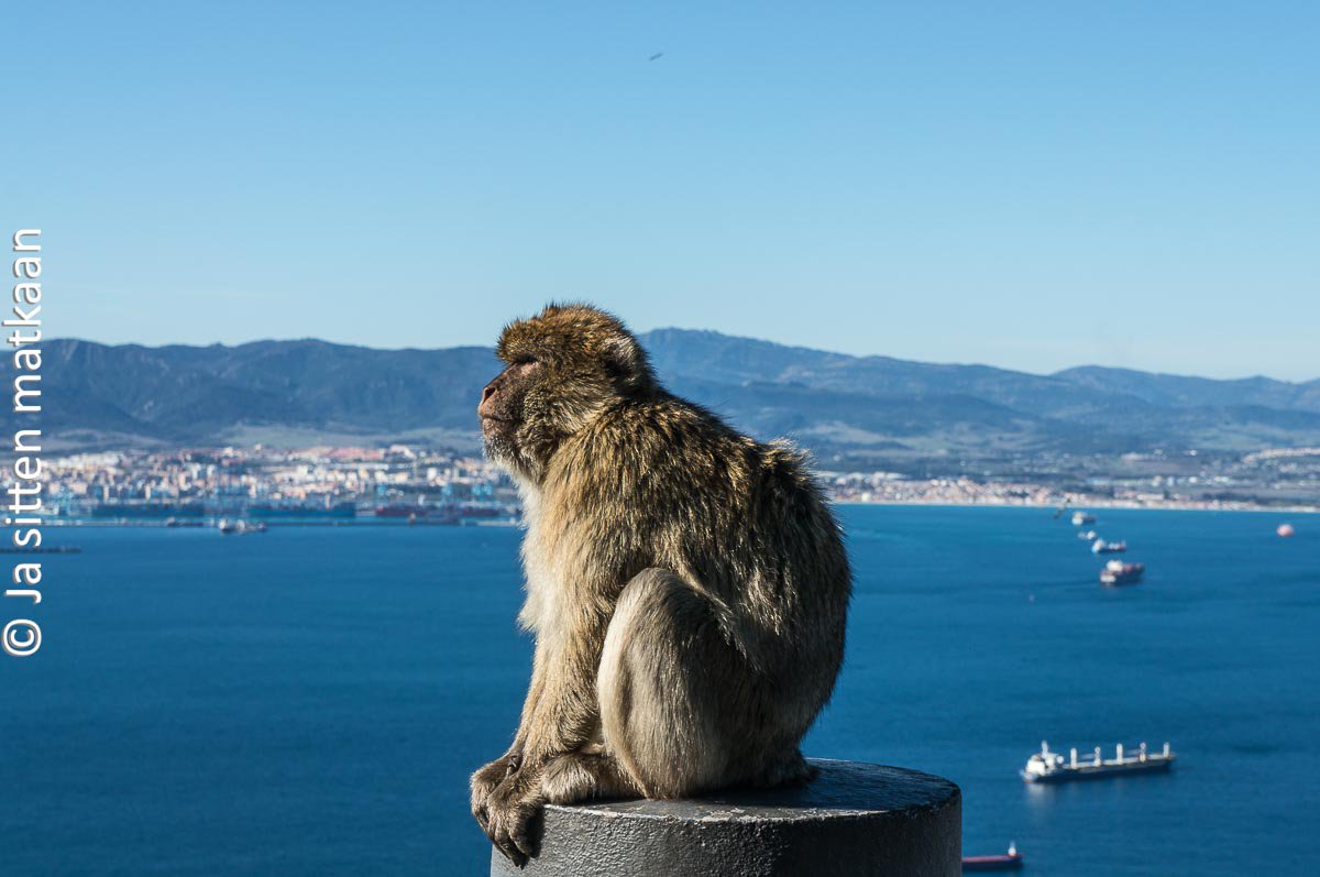 Andalusia roadtrip 2017, osa 2: Gibraltar