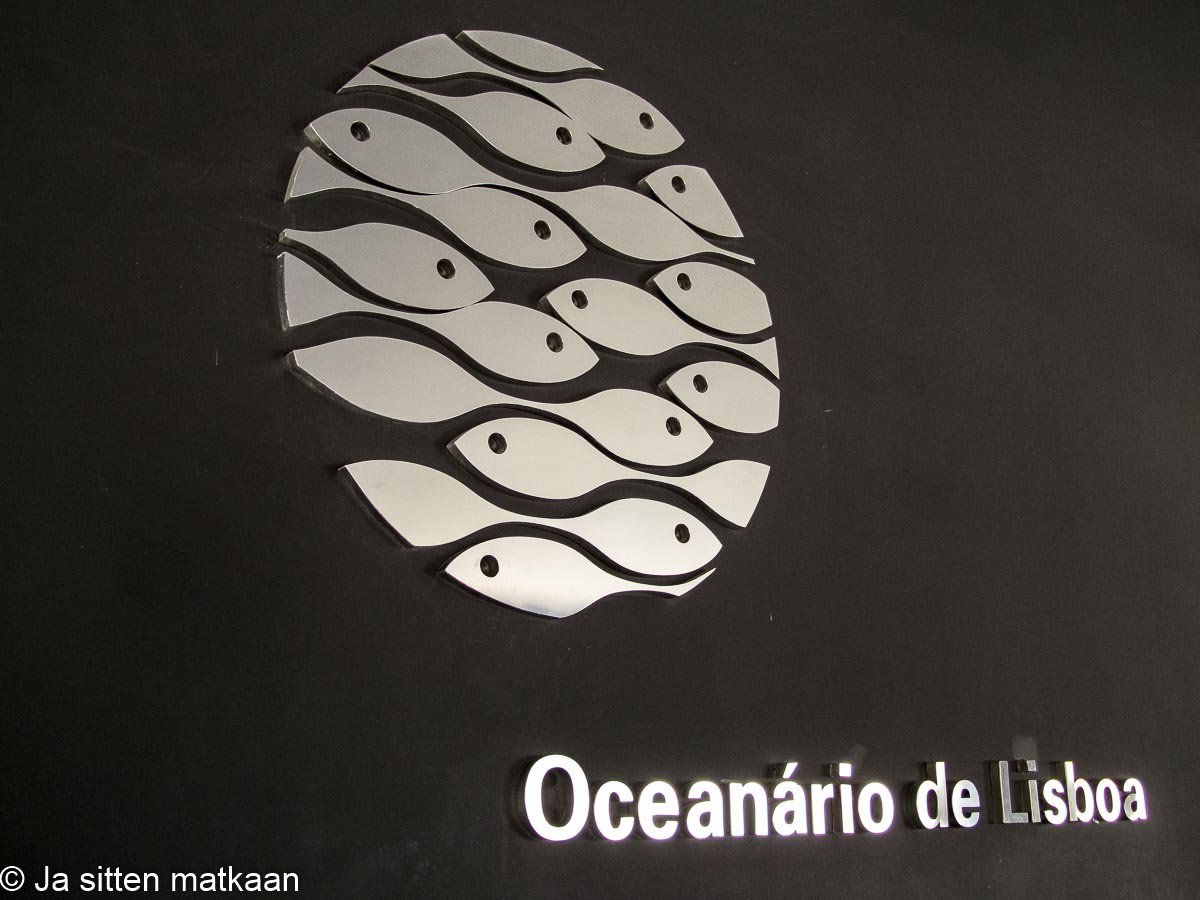 Lissabonin nähtävyyksiä - Oceanário