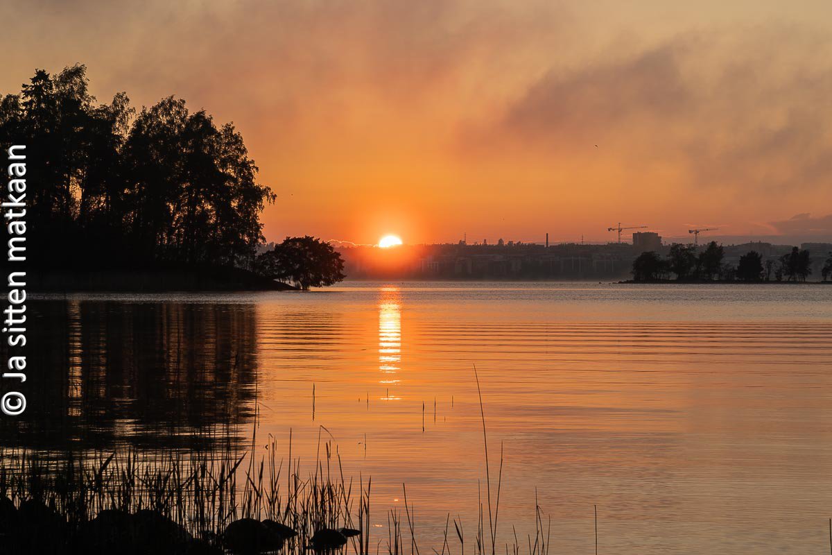 Matkavuosi 2021