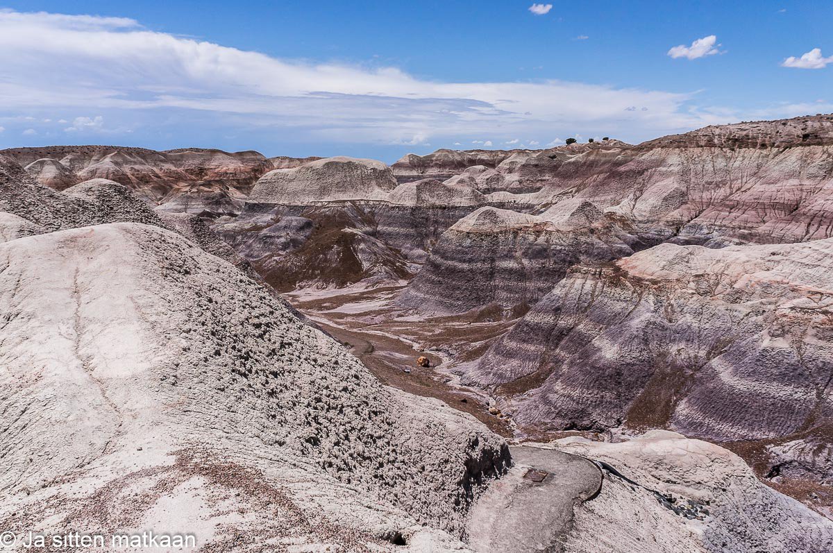 Arizonassa: Petrified Forest -kansallis­puisto