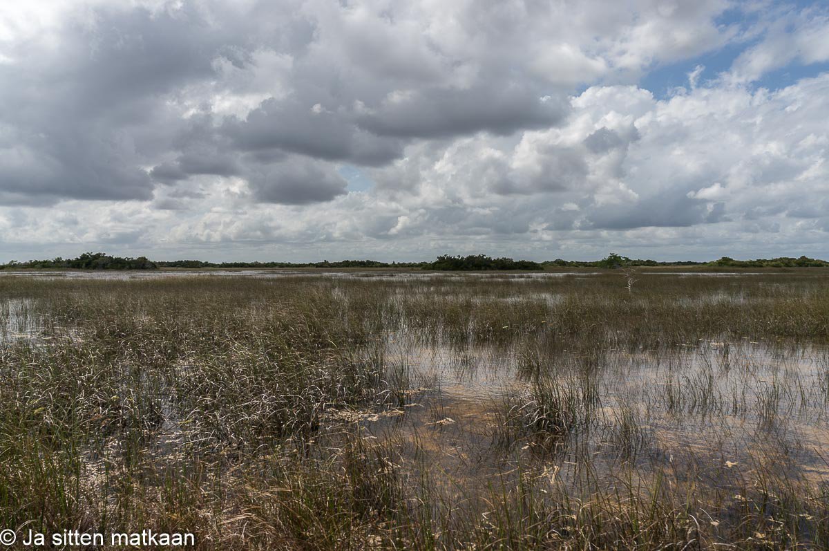 Florida roadtrip 2016, osa 5: Everglades