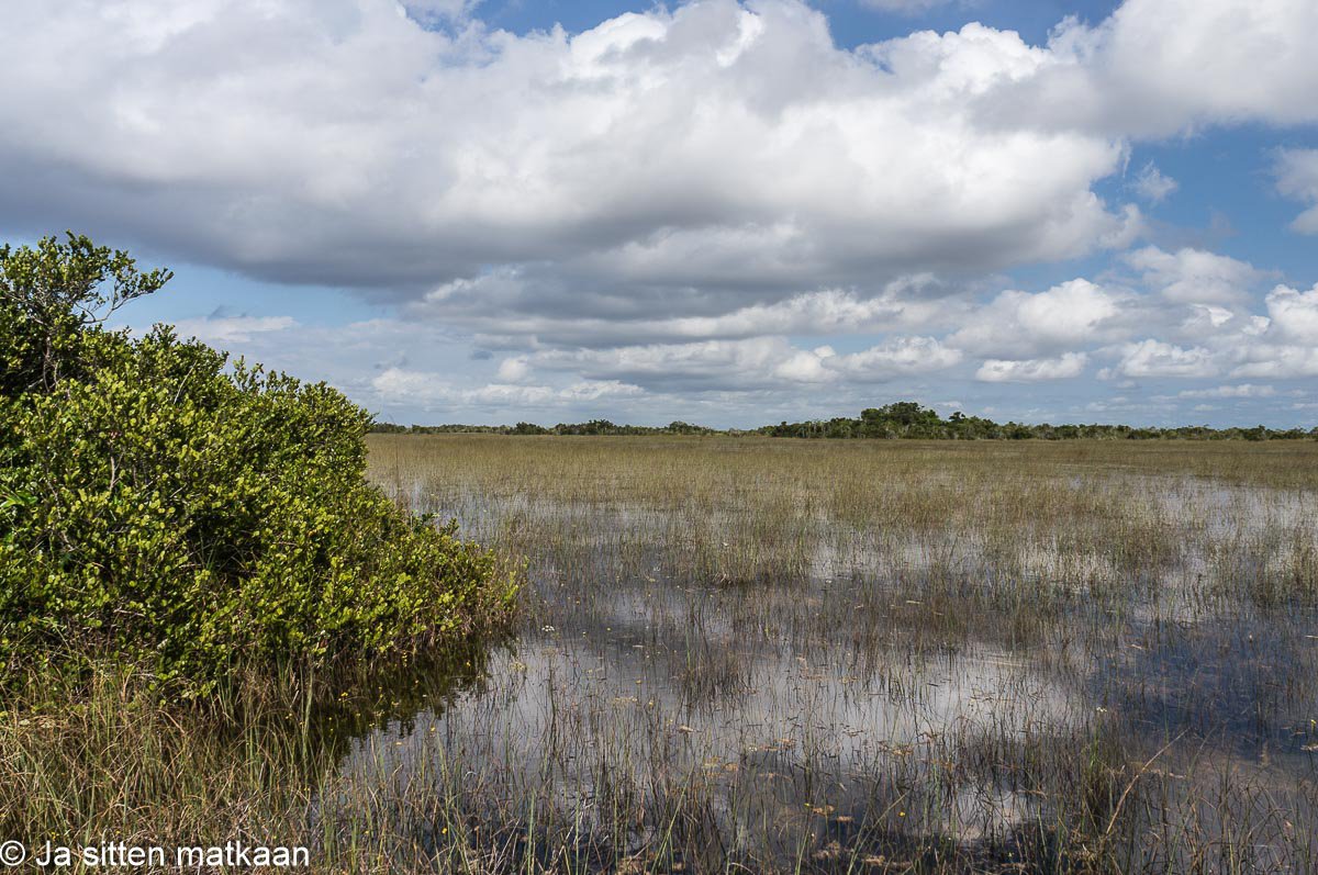 Floridassa: Evergladesin kansallis­puisto