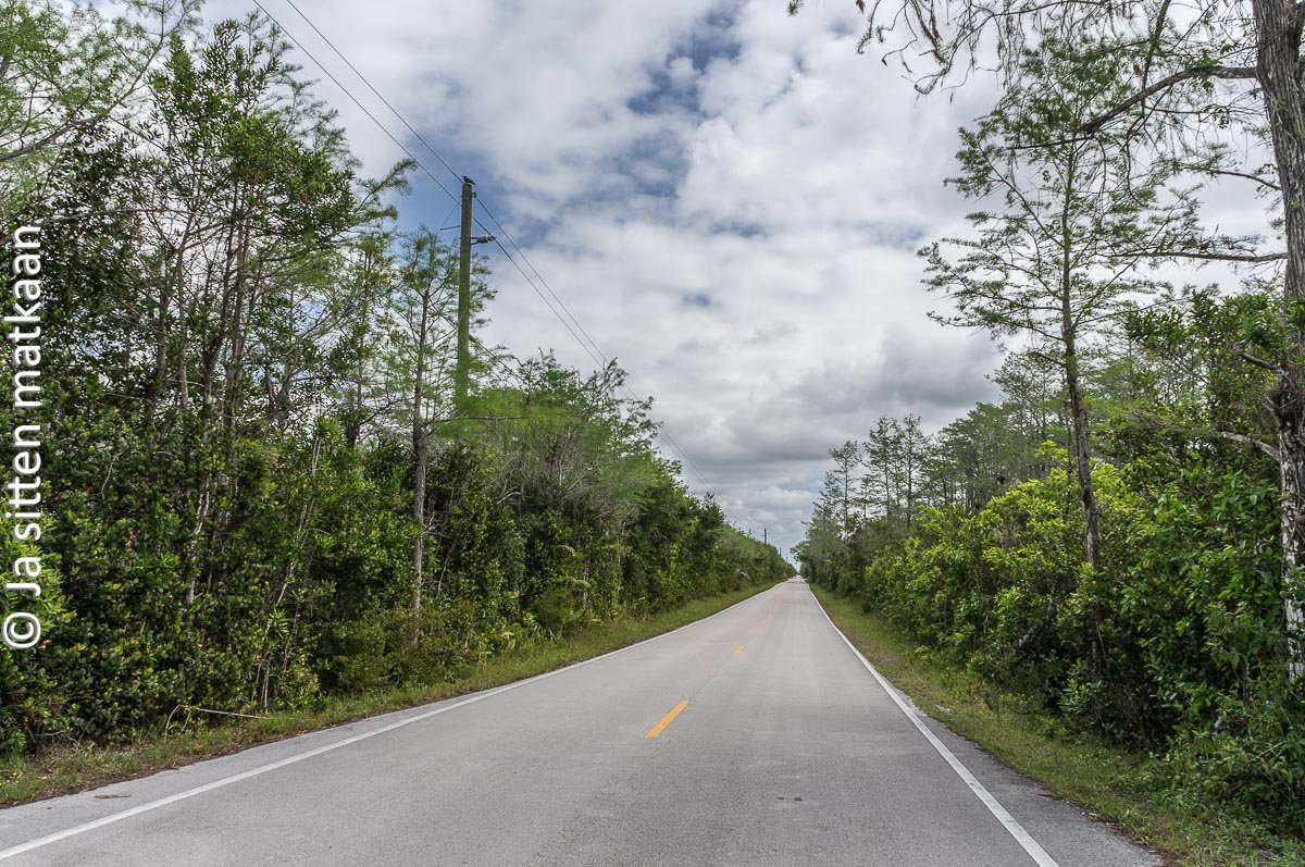 Floridassa: Tamiami Trail Loop Road