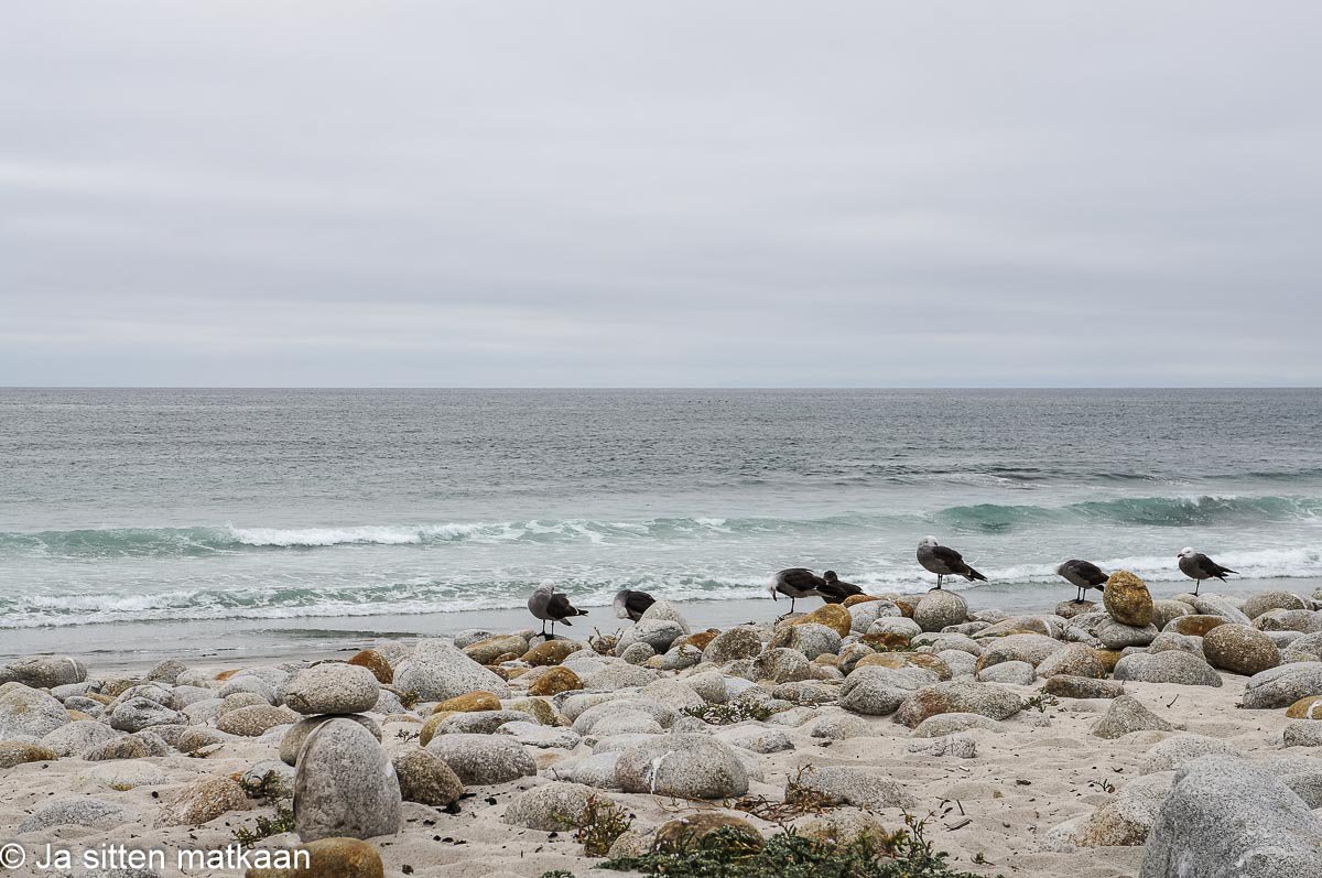 Kaliforniassa: 17-Mile Drive