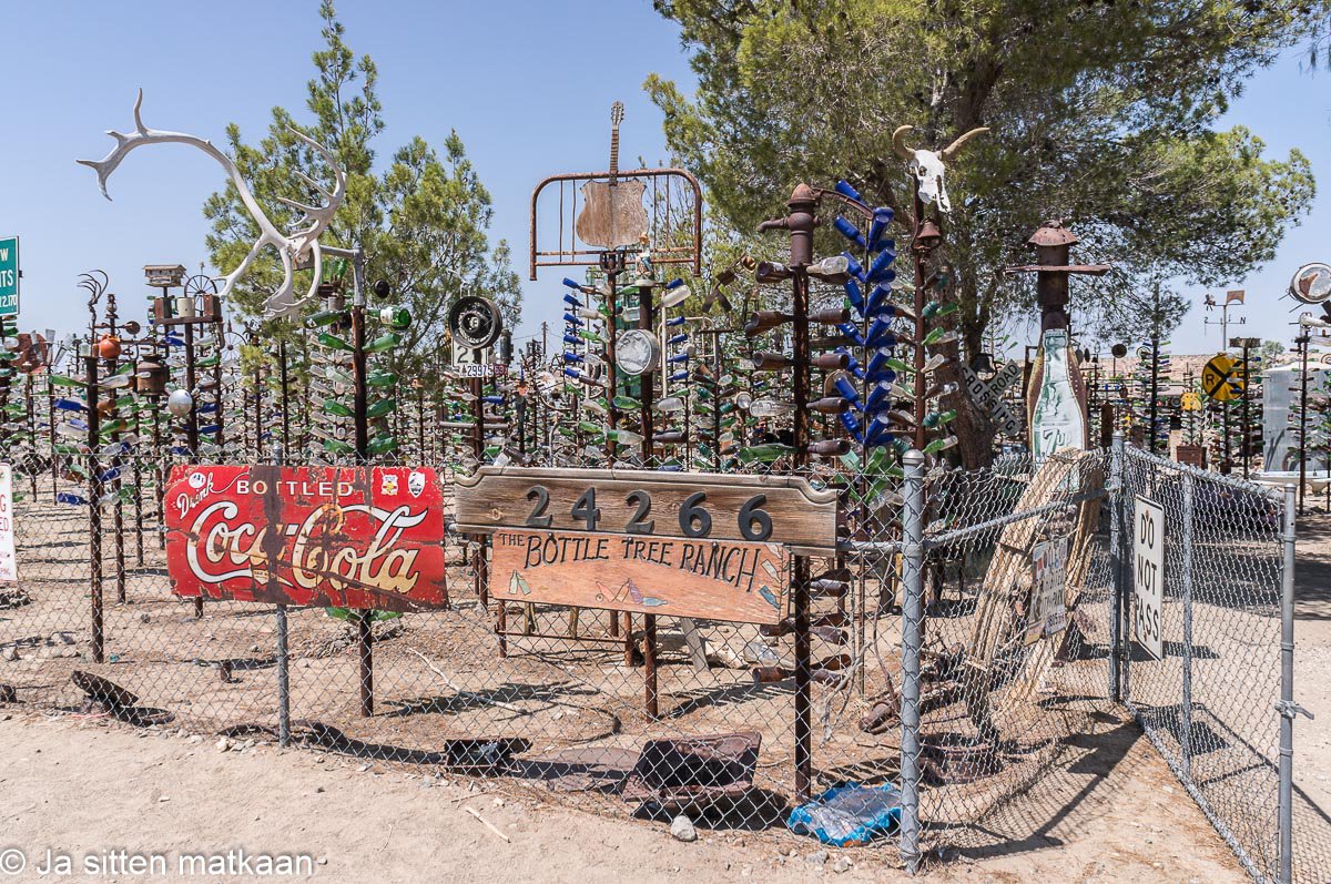 Kaliforniassa: Bottle tree ranch