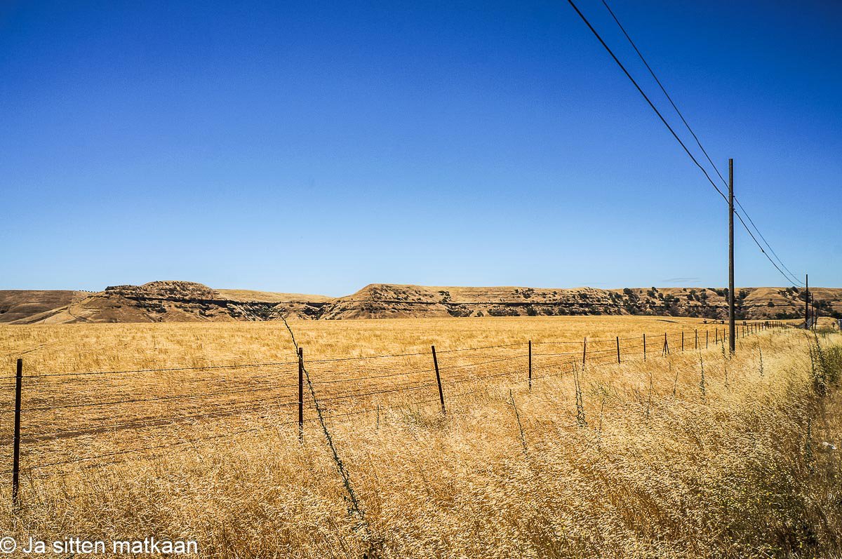 Roadtrip USA 2014, osa 3: Kalifornia