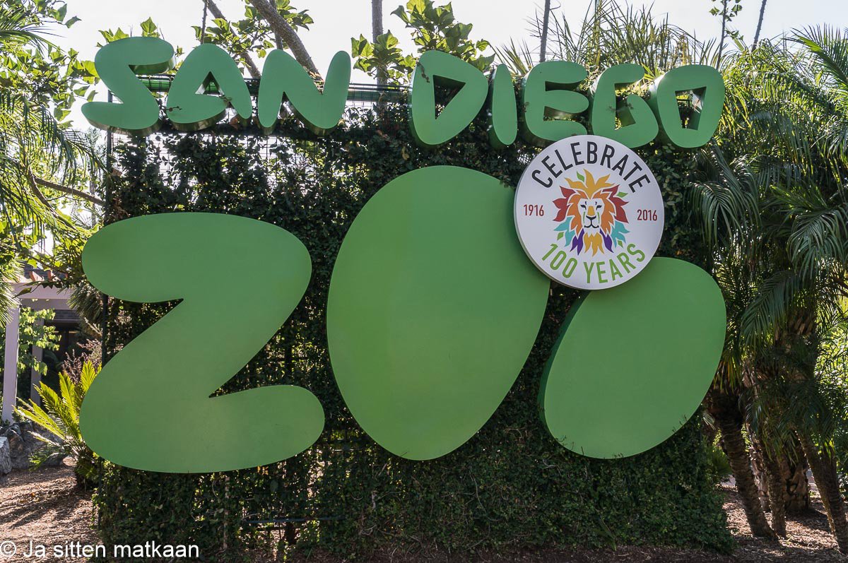 San Diegon nähtävyyksiä - San Diego Zoo