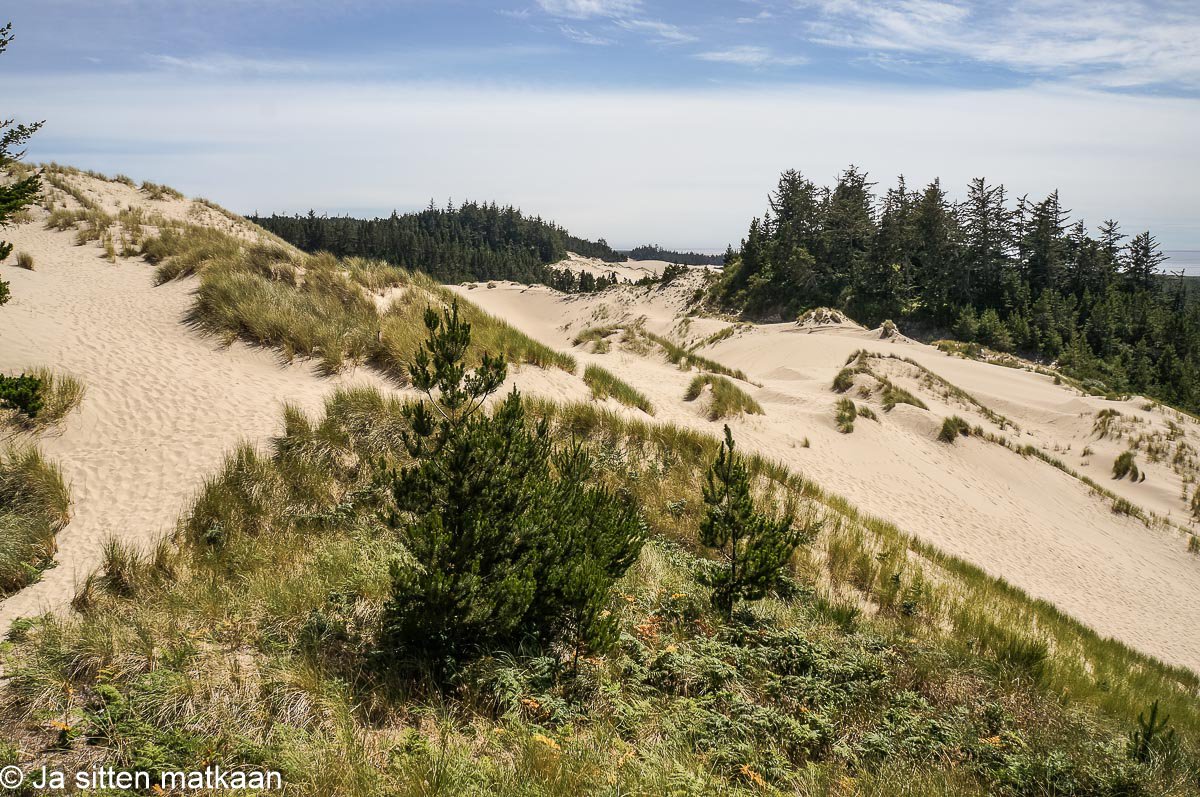 Oregonissa: Oregon Dunes National Recreation Area