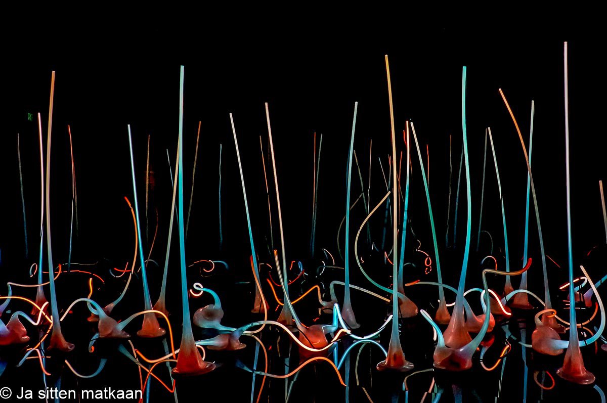 Seattlen nähtävyyksiä - Chihuly Garden and Glass