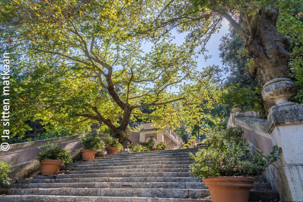 Rooman kasvitieteellinen puutarha