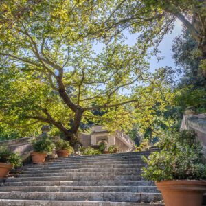 Rooman kasvitieteellinen puutarha