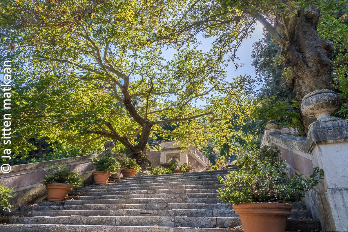 Rooman kasvitieteellinen puutarha