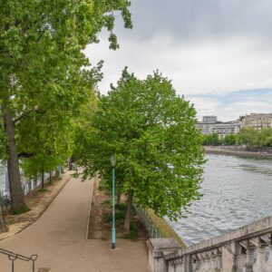 Île aux Cygnes