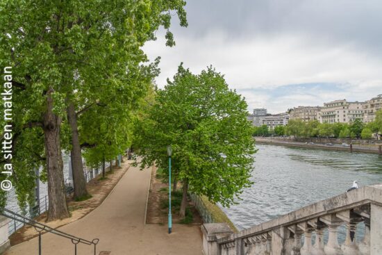 Île aux Cygnes