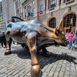 Charging Bull