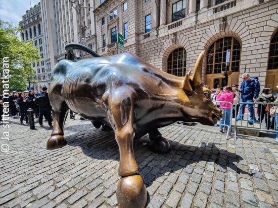 Charging Bull