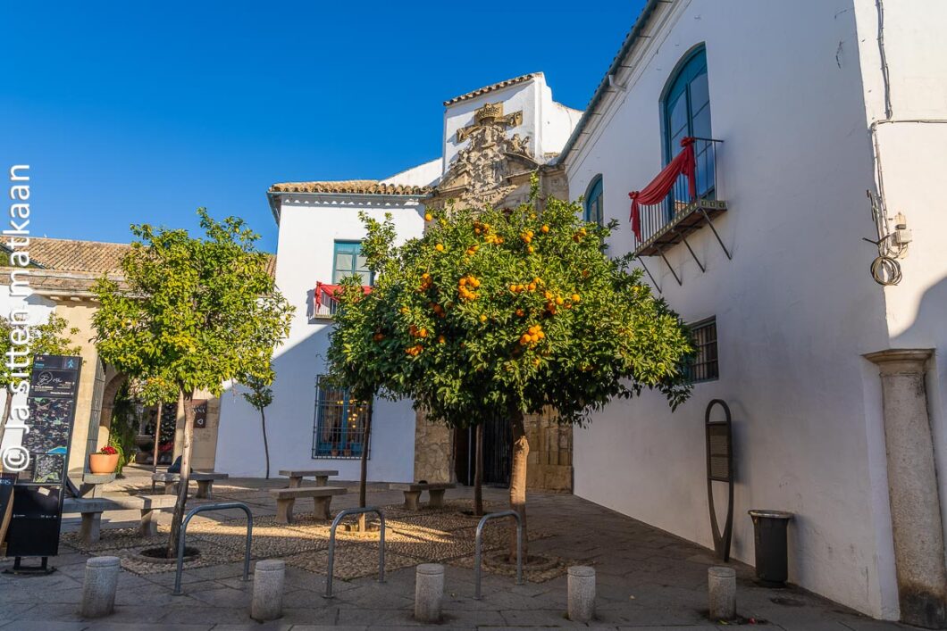 Palacio Viana