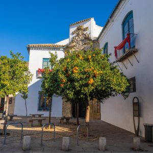 Palacio Viana