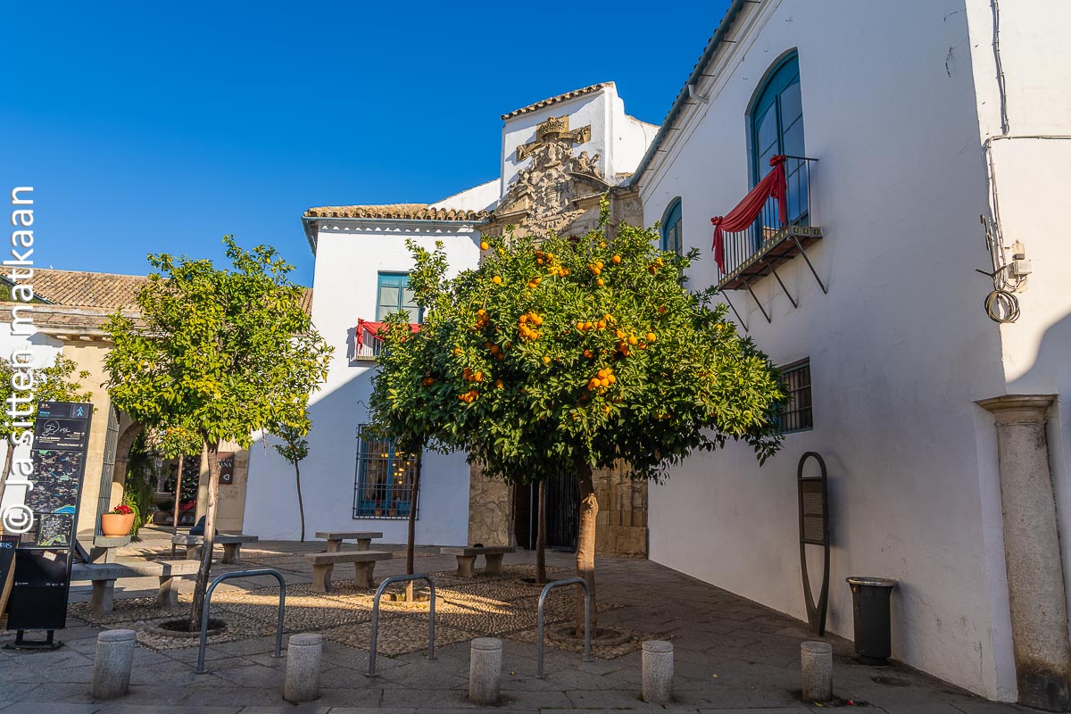 Palacio Viana